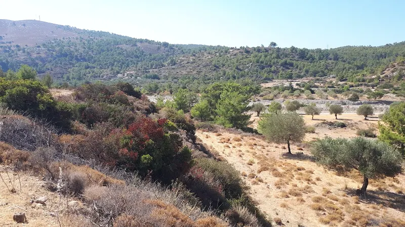 The cliff above the rover course