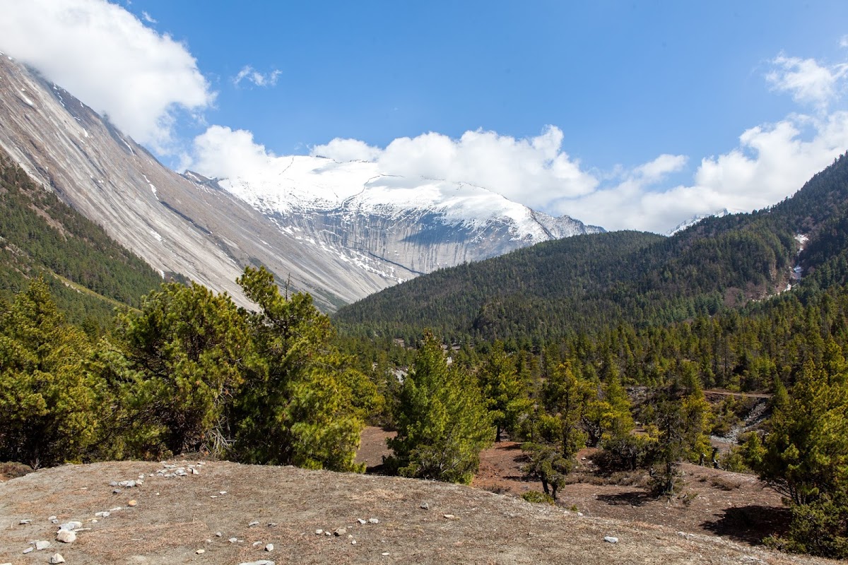 200км по красно-белым черточкам.. Around Annapurna. март-апрель 2017