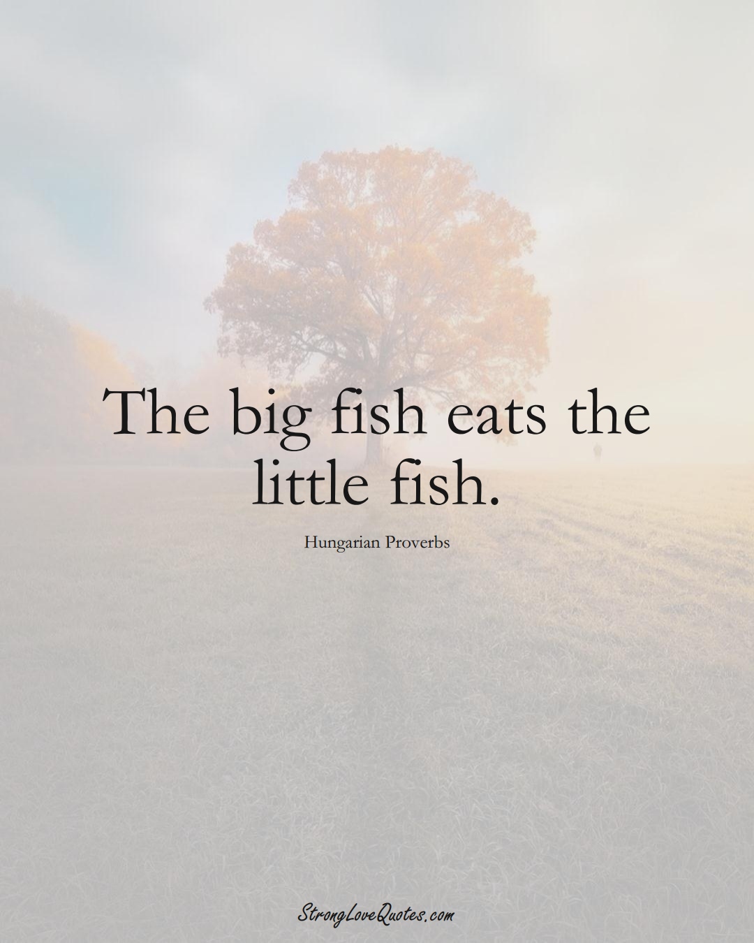 The big fish eats the little fish. (Hungarian Sayings);  #EuropeanSayings
