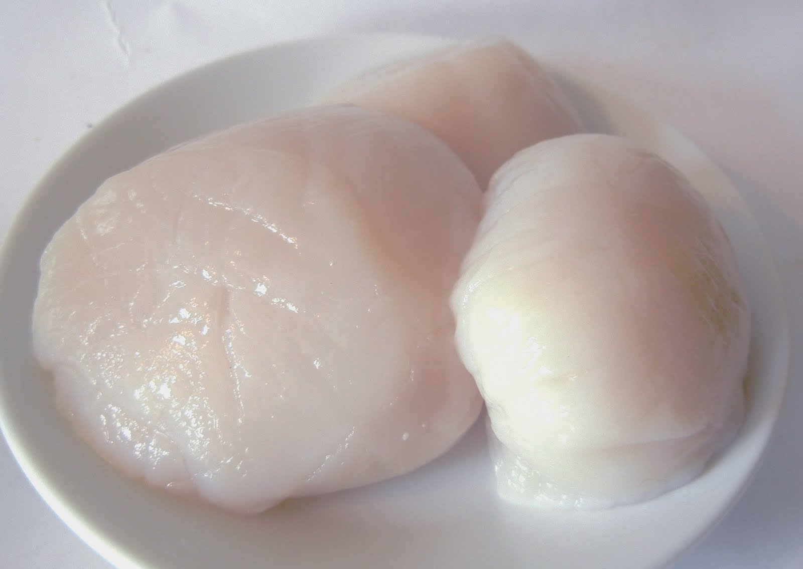 Asian Style Scallop Ceviche