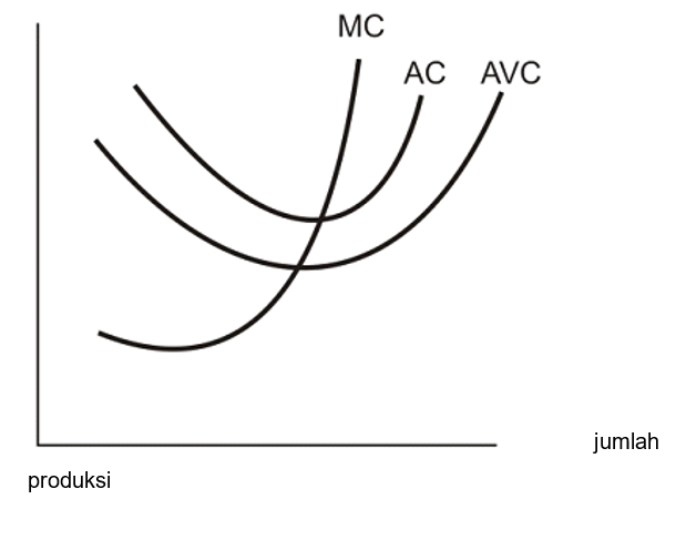 Selsa Noviyanti Bab 11 Teori Produksi Jangka Pendek dan