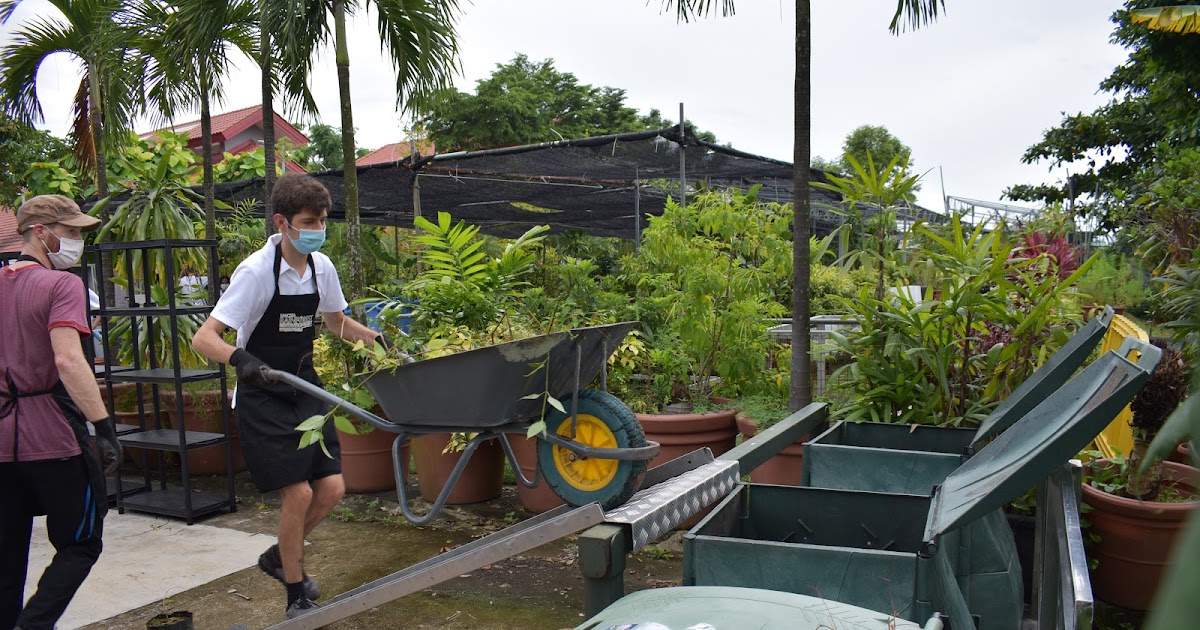UWCSEA Dover Environmental Stewardship in Action Three new groups