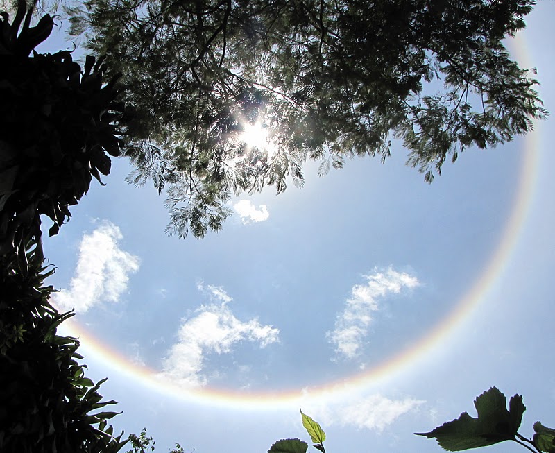 Multivias: Via Natureza: O Sol Neste Minuto