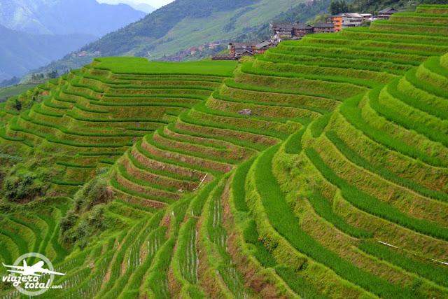 Ping'An Village - Arrozales de Longji - Longsheng - China