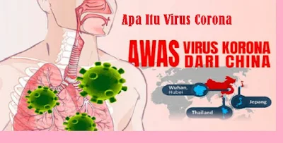 Apa itu virus corona