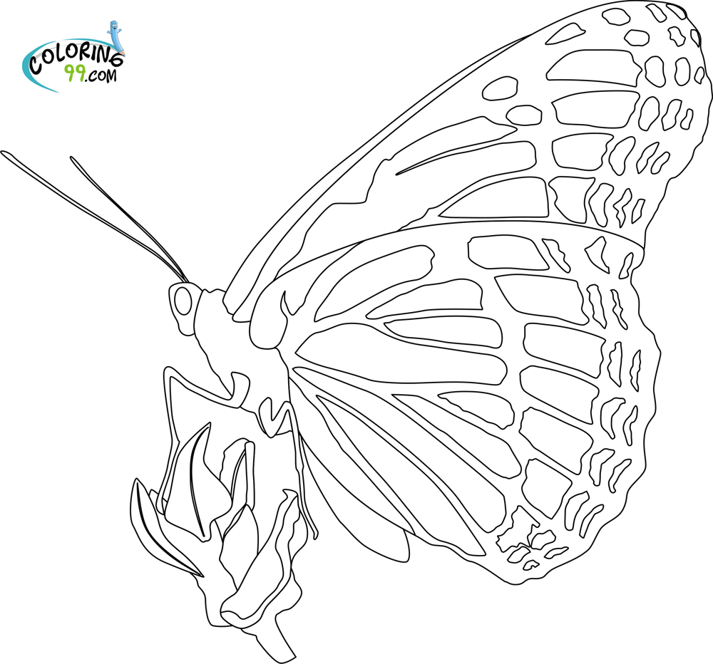butterfly-coloring-pages-team-colors