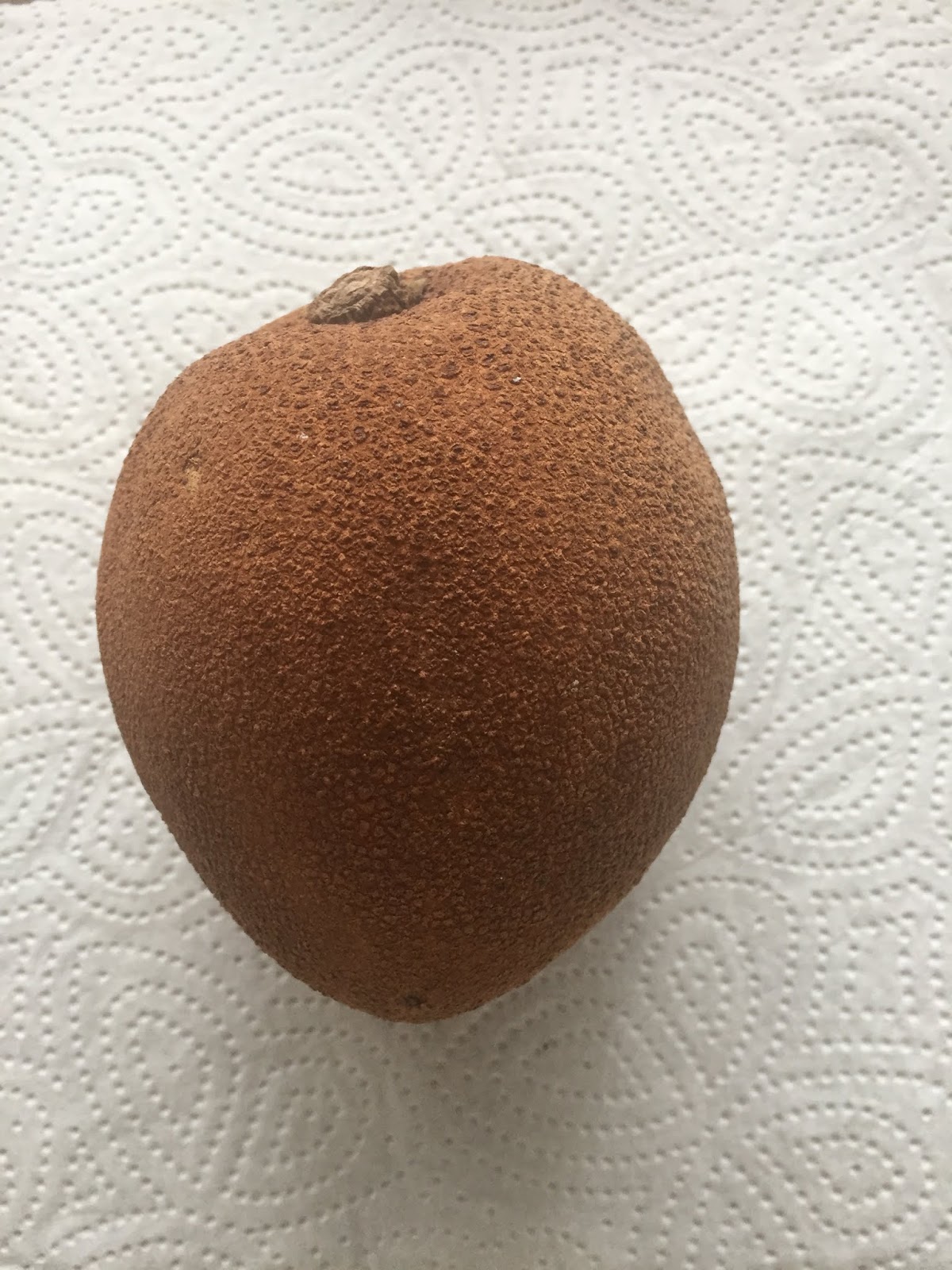 Exotische Pflanzen Und Fruchte Mamey Pouteria Sapote