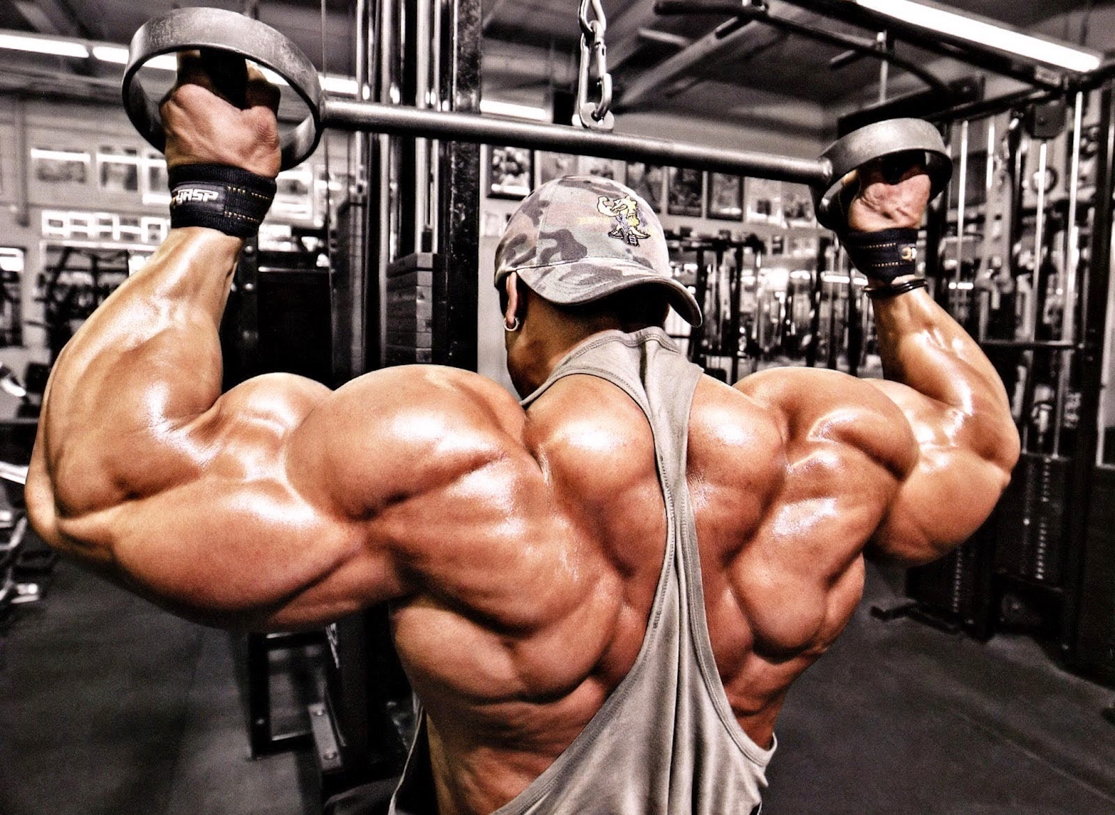 Sora's Pictures of Various Cool Stuff: Big Muscles and Body Builders