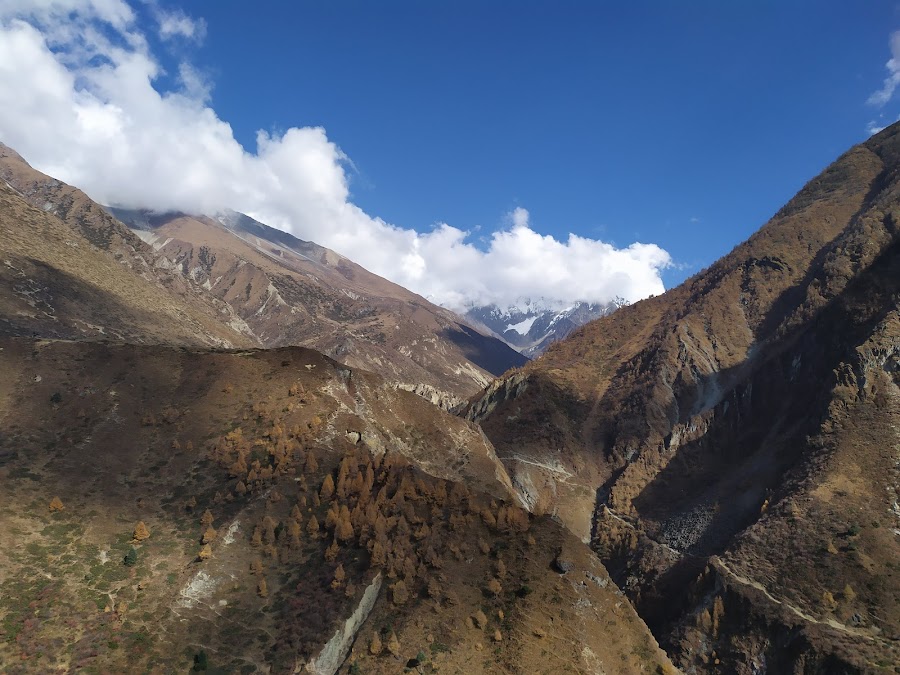 По долине Цум и вокруг Манаслу не галопом, ноябрь 2019.