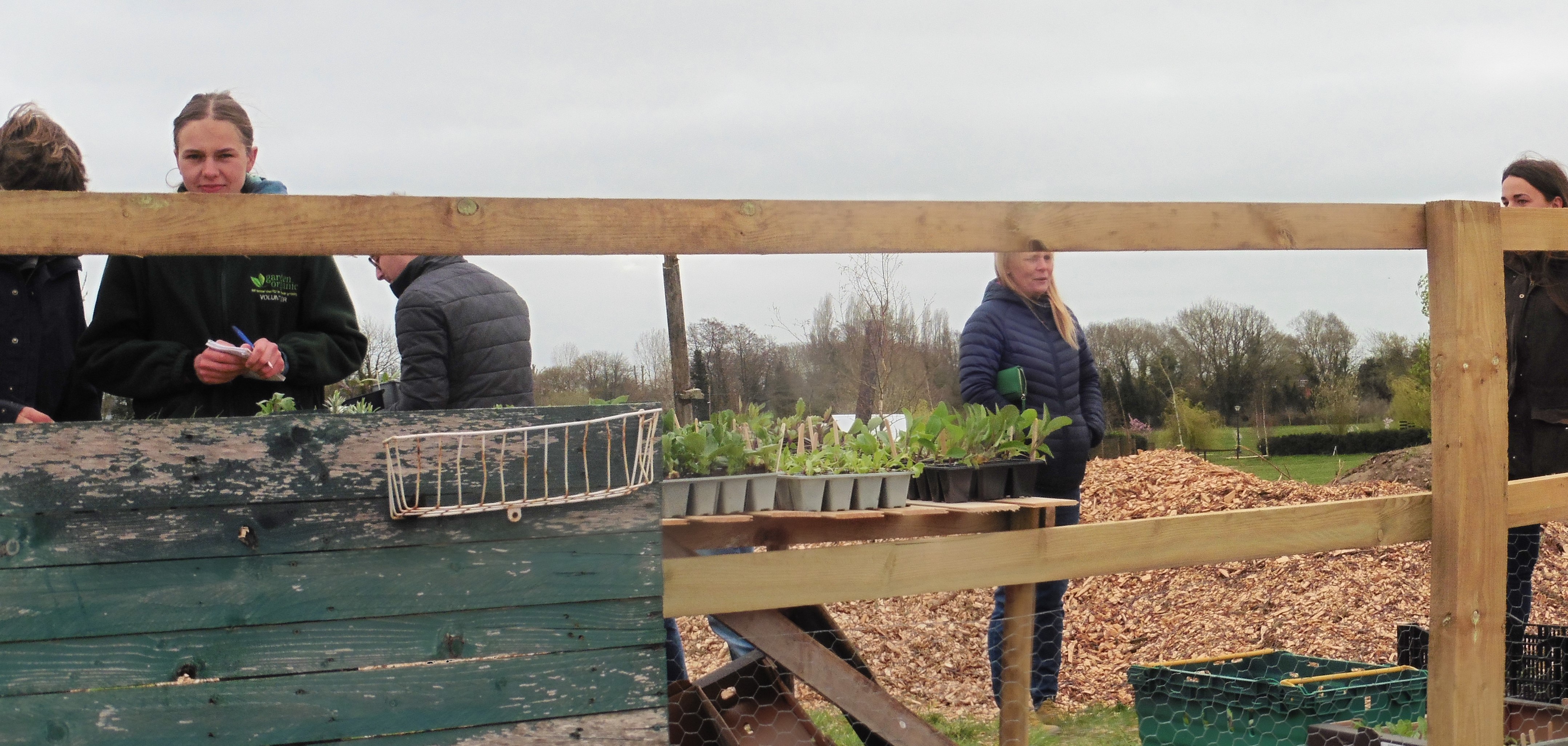 Old Buckenham blog Plants for sale at Old Buckenham Country Park