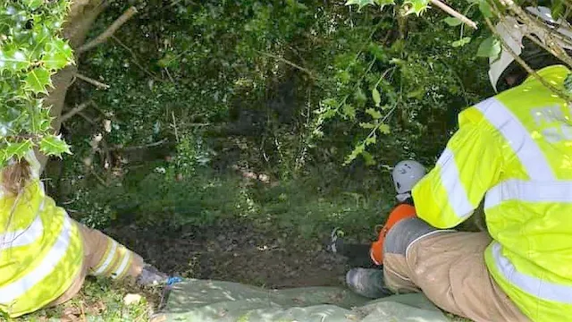 Cat's persistent meows helped to lead rescuers to owner who had fallen down a ravine