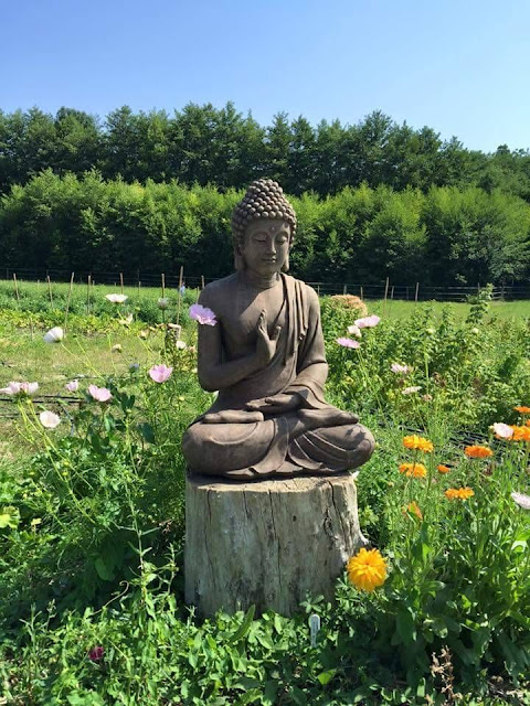buddha%2Bdecor%2B%25287%2529