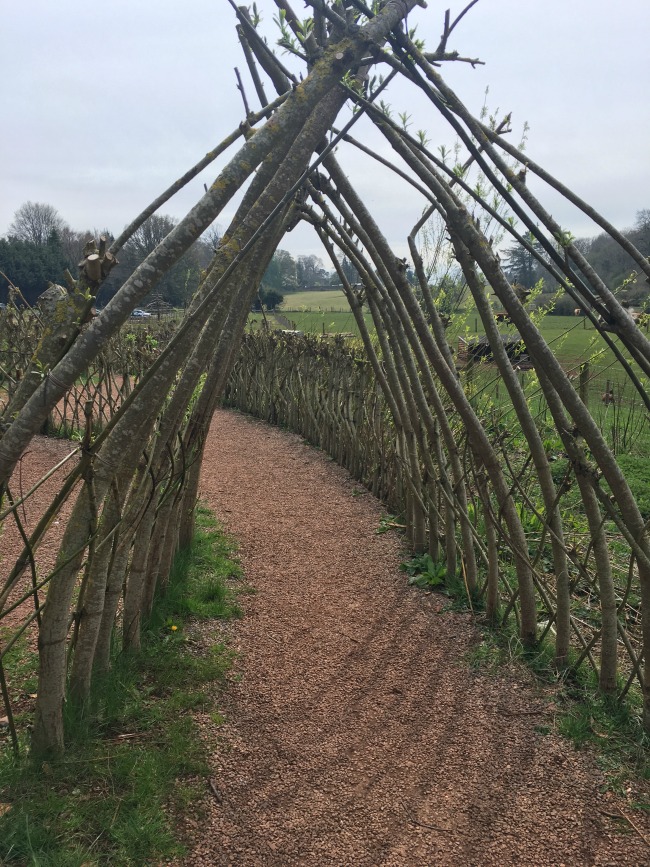 willow saplings bent and tied together to form an arch