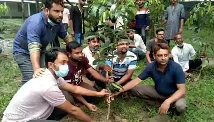 মুজিব শতবর্ষ উপলক্ষে পলাশবাড়ী সরকারি কলেজে ছাত্রলীগের বৃক্ষরোপন