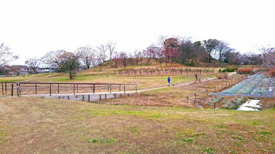 津堂城山古墳(藤井寺市)