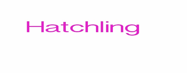 hatchling