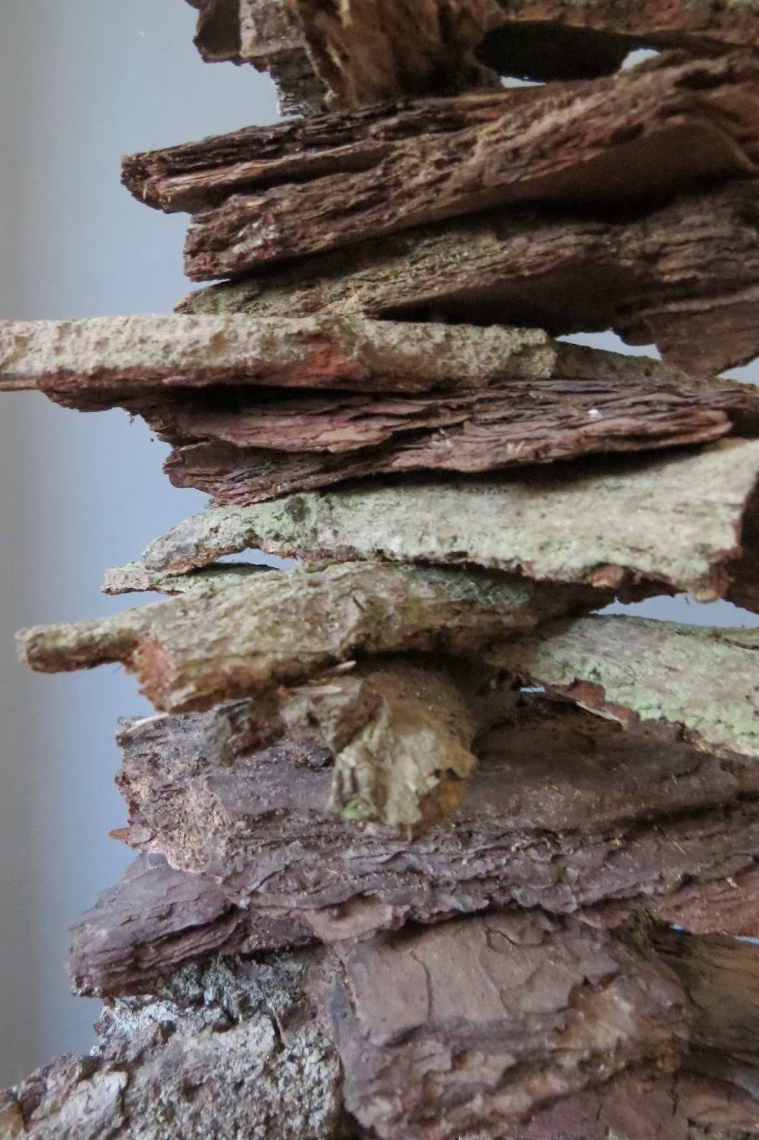 BilderWeise DekoBaum aus Rinde simple DIY bark