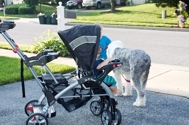 I Love You More Than Carrots: Sit N' Stand Ultra, A Baby Trend Stroller