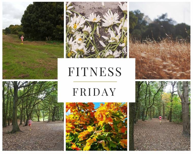 Could You Run Everyday? For A Year?