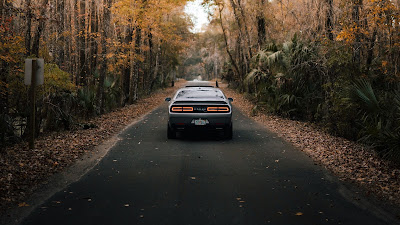 HD Wallpaper Car, Road, Asphalt, Tree, Rear view