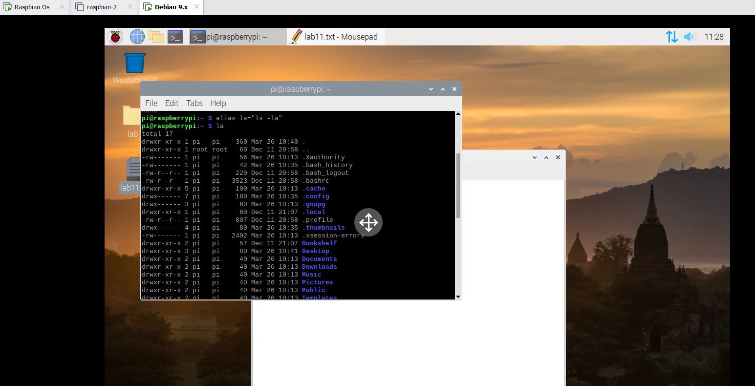 LAB 2 | FULL GUIDE | BASIC LINUX COMMANDS