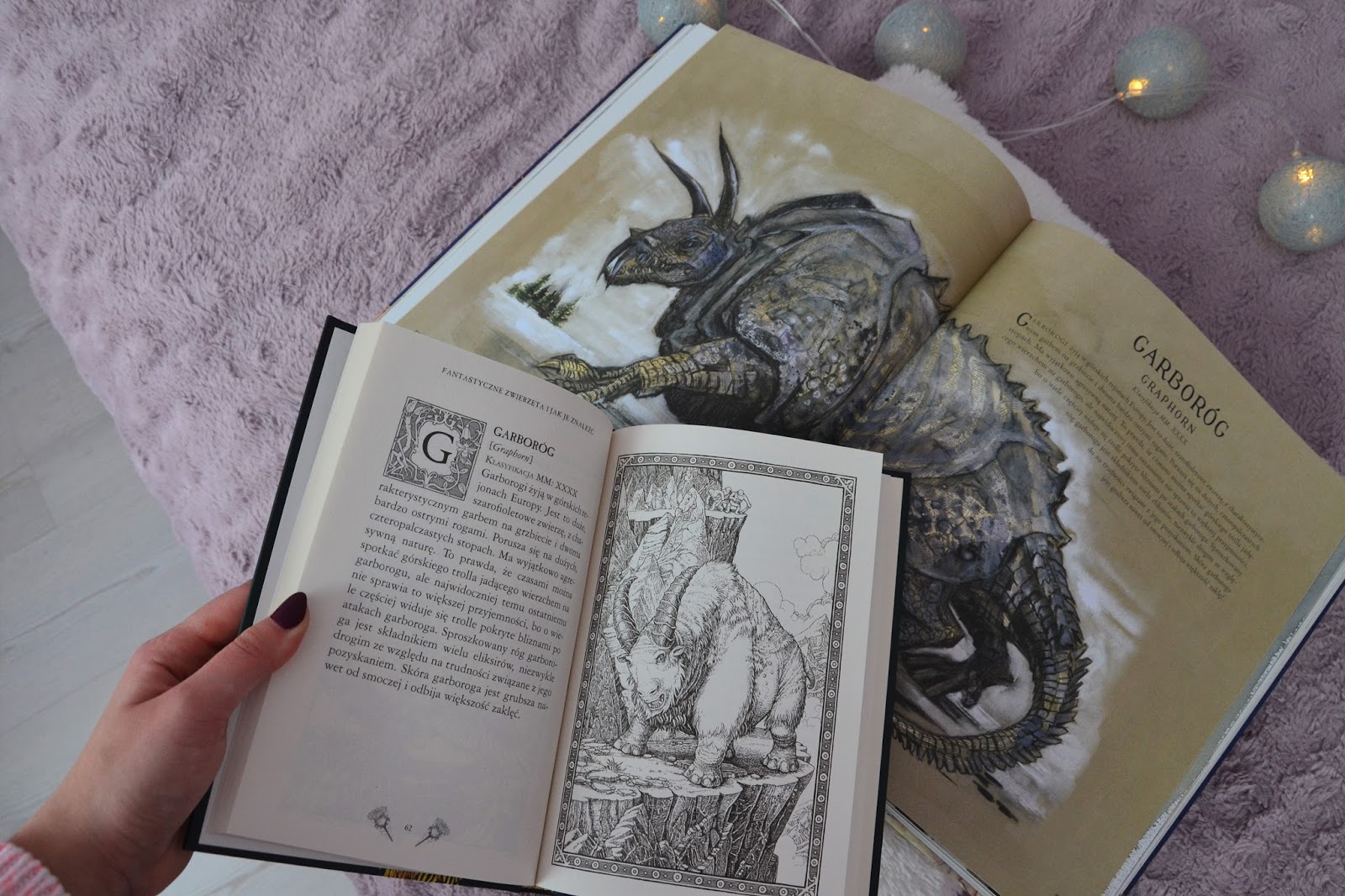 Dolina Ksiazek Fantastyczne Zwierzeta I Jak Je Znalezc Wydanie Ilustrowane