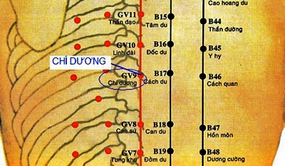Vị trí huyệt chí dương