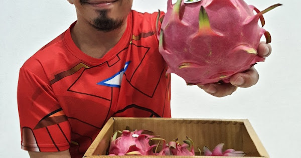 7 Health Benefits of Dragon Fruit (Plus How to Eat It)