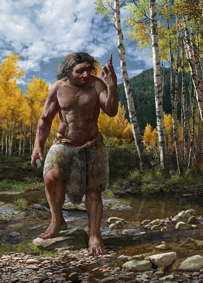 'Dragon Man' Fossil May Replace Neanderthals As Our Closest Relative   