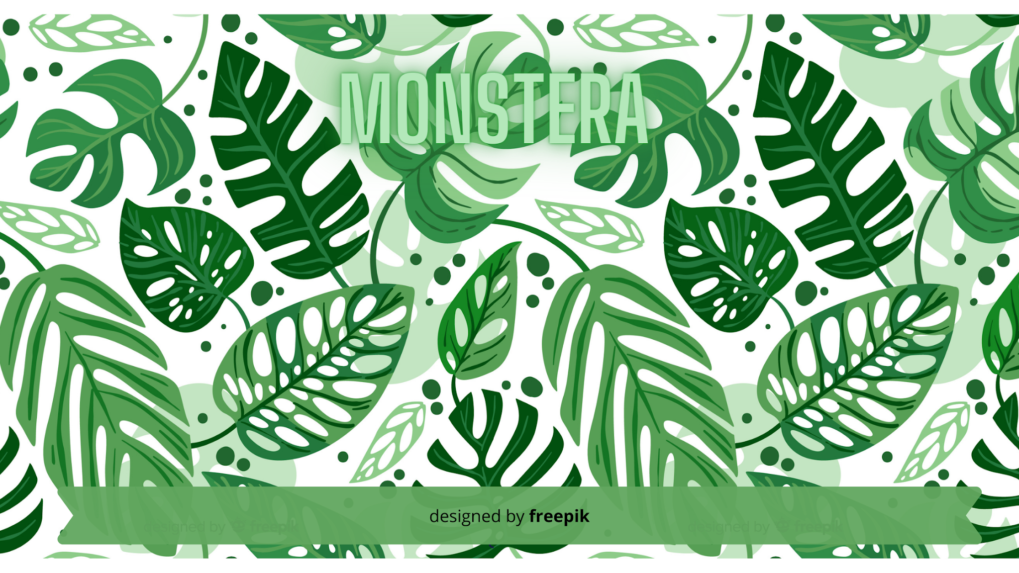 √ Tanaman Janda Bolong Lagi Naik Daun - domarai