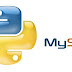 Python with MySQL special characters