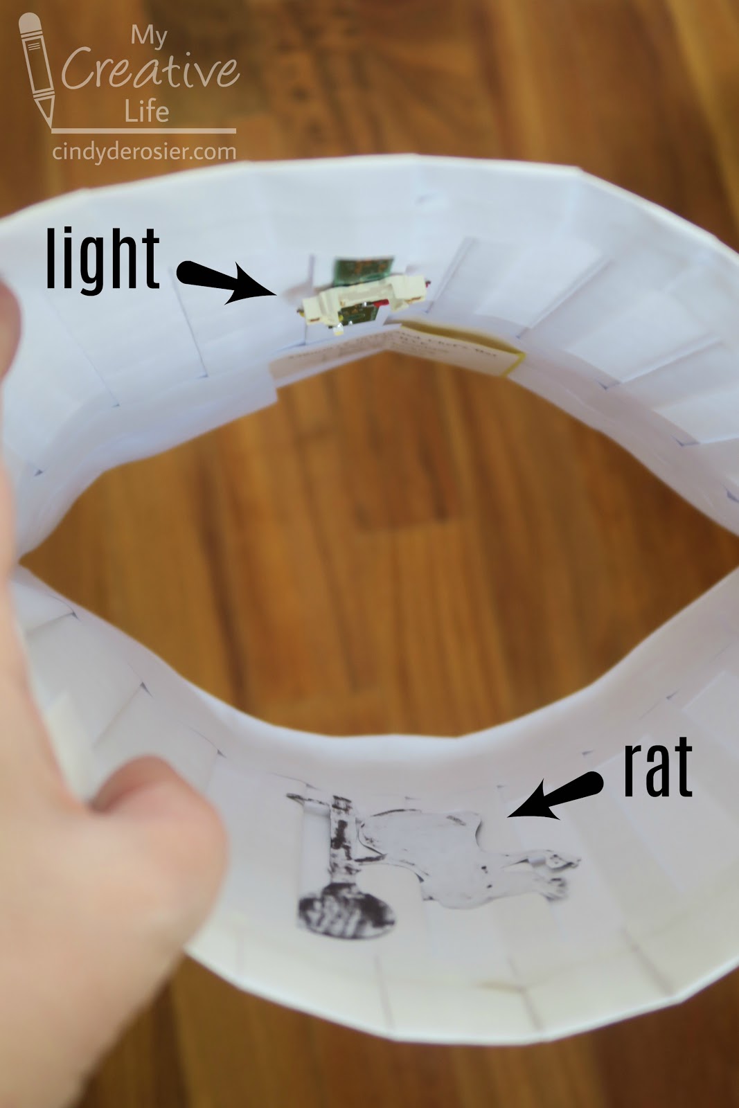 Ratatouille hat diy Clearance