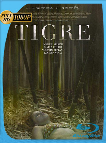 Tigre (2017) HD 1080p Latino [GoogleDrive] TeslavoHD