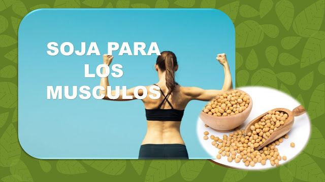 SOJA PARA LOS MUSCULOS SOJA PARA LOS MUSCULOS