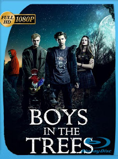 Boys in the Trees (2016) HD [1080p] Latino [GoogleDrive] chapelHD