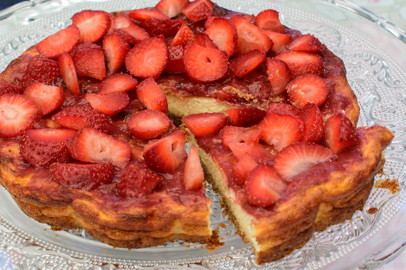 Cheese cake fit
