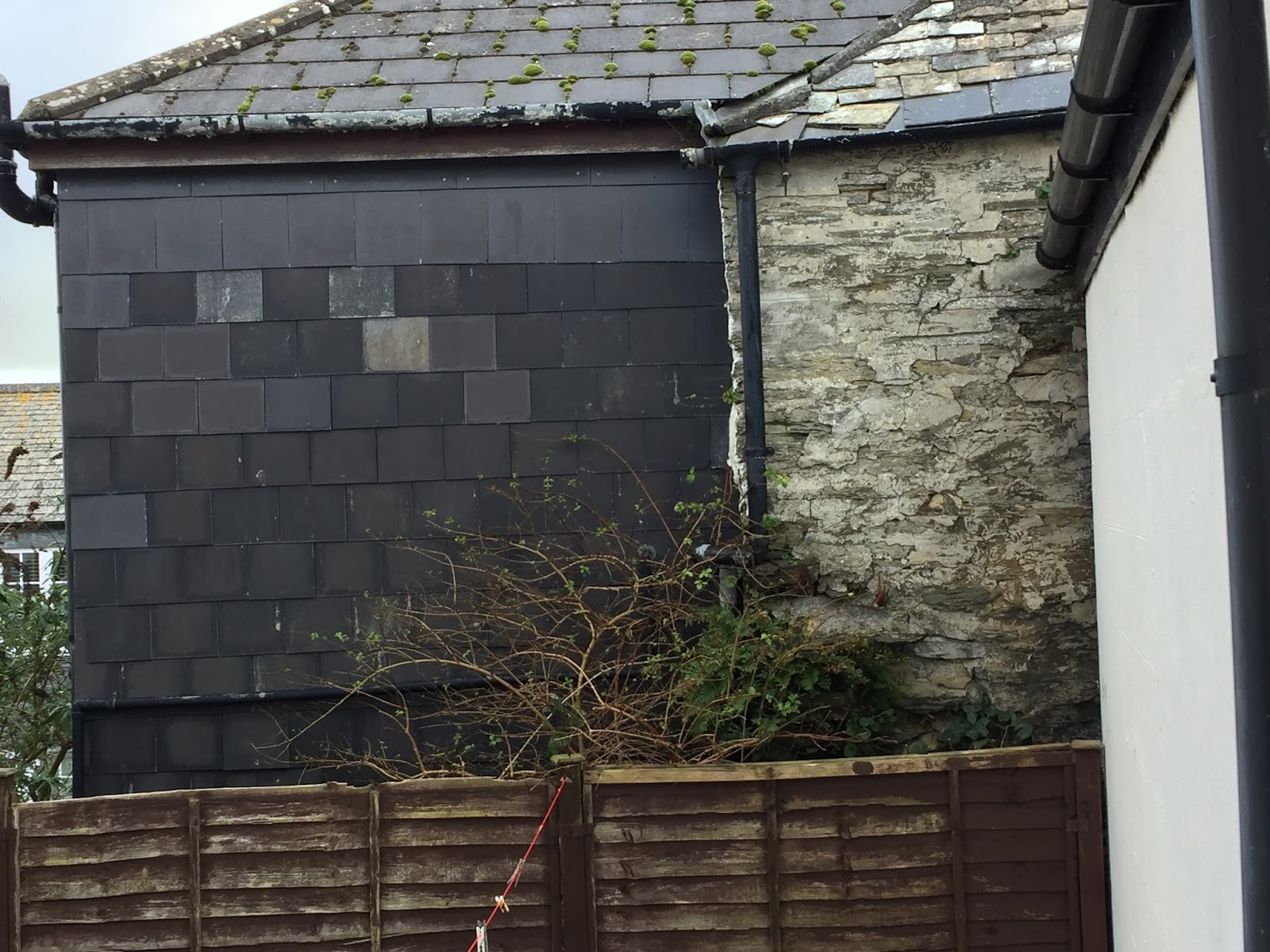 The Padstow Cottage Planning, Bats and Wonky Walls!