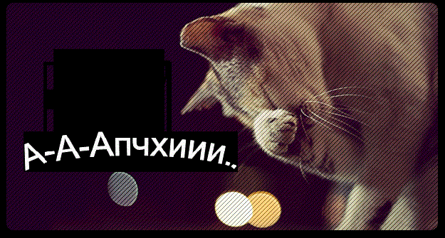 Почему чихает иж