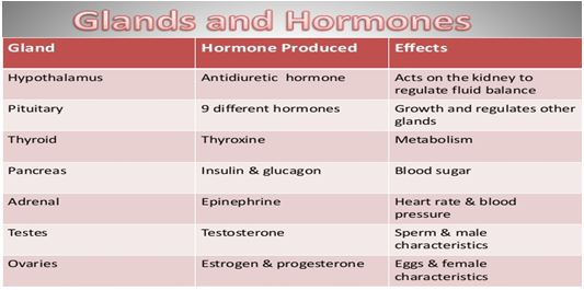 Various Glands and Hormones2 - मानव शरीर में विभिन्न ग्रंथियां और हार्मोन्स