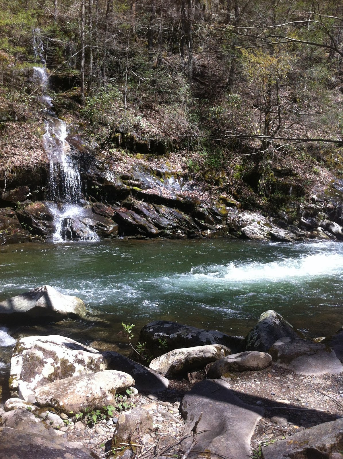 Tellico River Trout Fishing A Tourist Perspective