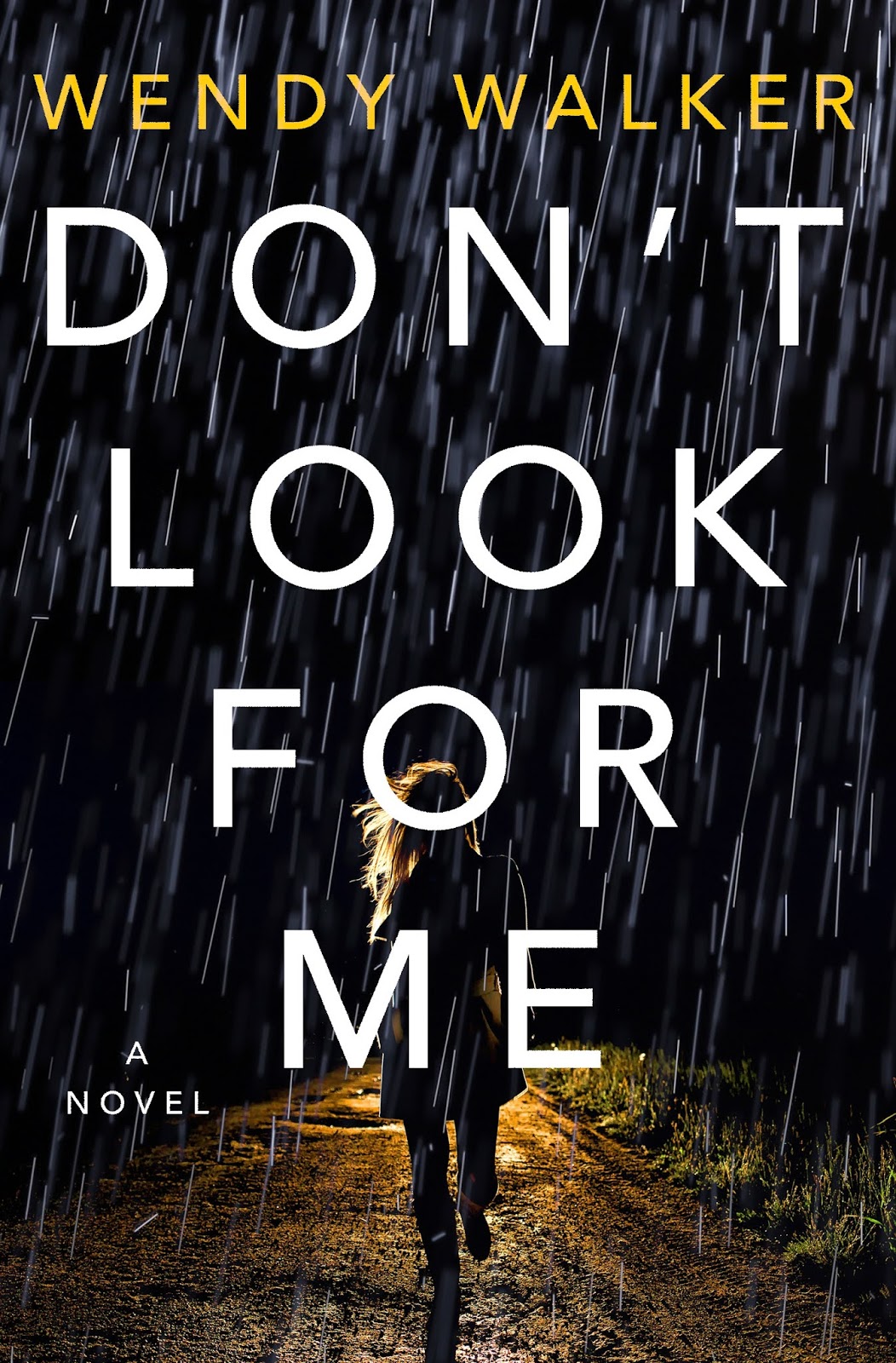 Review: Don’t Look for Me by Wendy Walker