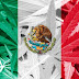 EN HECHO HISTÓRICO: MÉXICO LEGALIZA LA MARIHUANA, RESQUEBRAJA POLÍTICAS PROHIBICIONISTAS Y ABRE LA PUERTA A UN NEGOCIO MULTIMILLONARIO