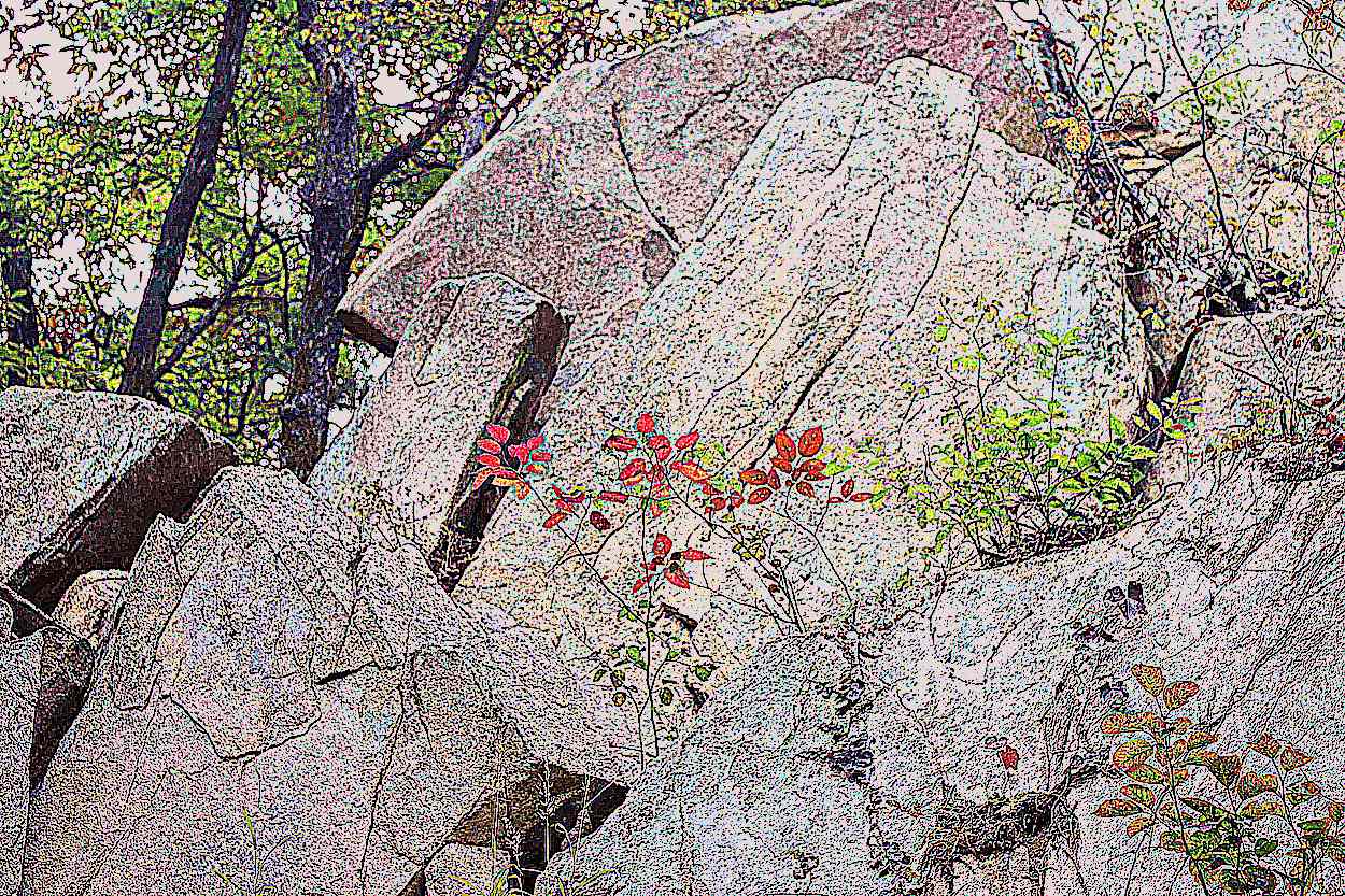 예산 덕숭산 수덕사 예산 덕숭산 수덕사