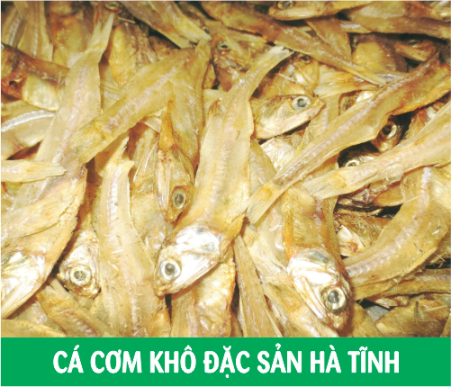 KHÔ CÁ CƠM ĐÁNH BẮT HÀ TĨNH KHÔ CÁ CƠM