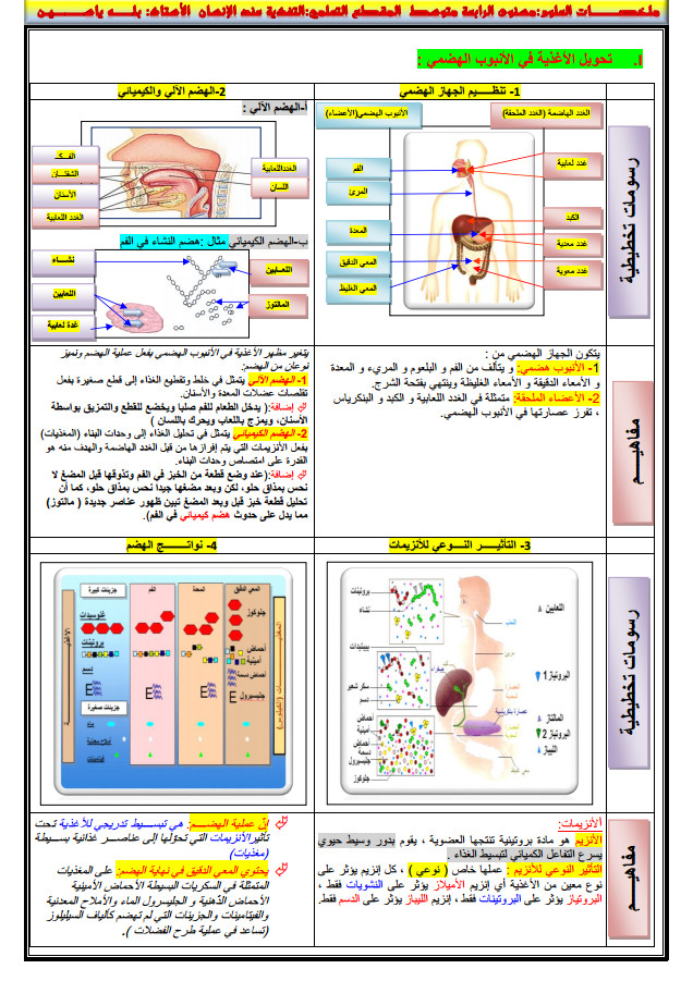 ملخصات العلوم للسنة الرابعة متوسط bem %25D9%2585%25D9%2584%25D8%25AE%25D8%25B5%25D8%25A7%25D8%25AA%2B%25D8%25A7%25D9%2584%25D8%25B9%25D9%2584%25D9%2588%25D9%2585%2B%25D9%2584%25D9%2584%25D8%25B3%25D9%2586%25D8%25A9%2B%25D8%25A7%25D9%2584%25D8%25B1%25D8%25A7%25D8%25A8%25D8%25B9%25D8%25A9%2B%25D9%2585%25D8%25AA%25D9%2588%25D8%25B3%25D8%25B7%2BBEM