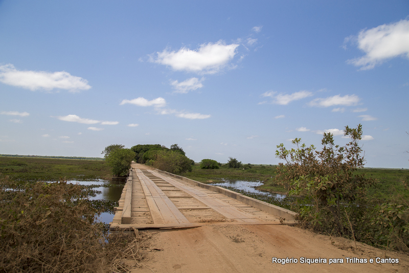 Pantanal Mato Grosso