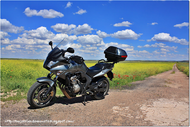 fondo de pantalla HONDA CBF600SA