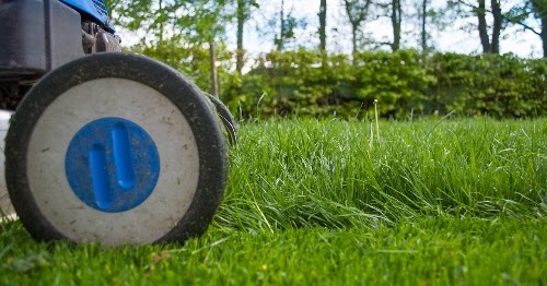 Verdwijnen Klokje reinigen TEST 2022: Beste grasmaaier test
