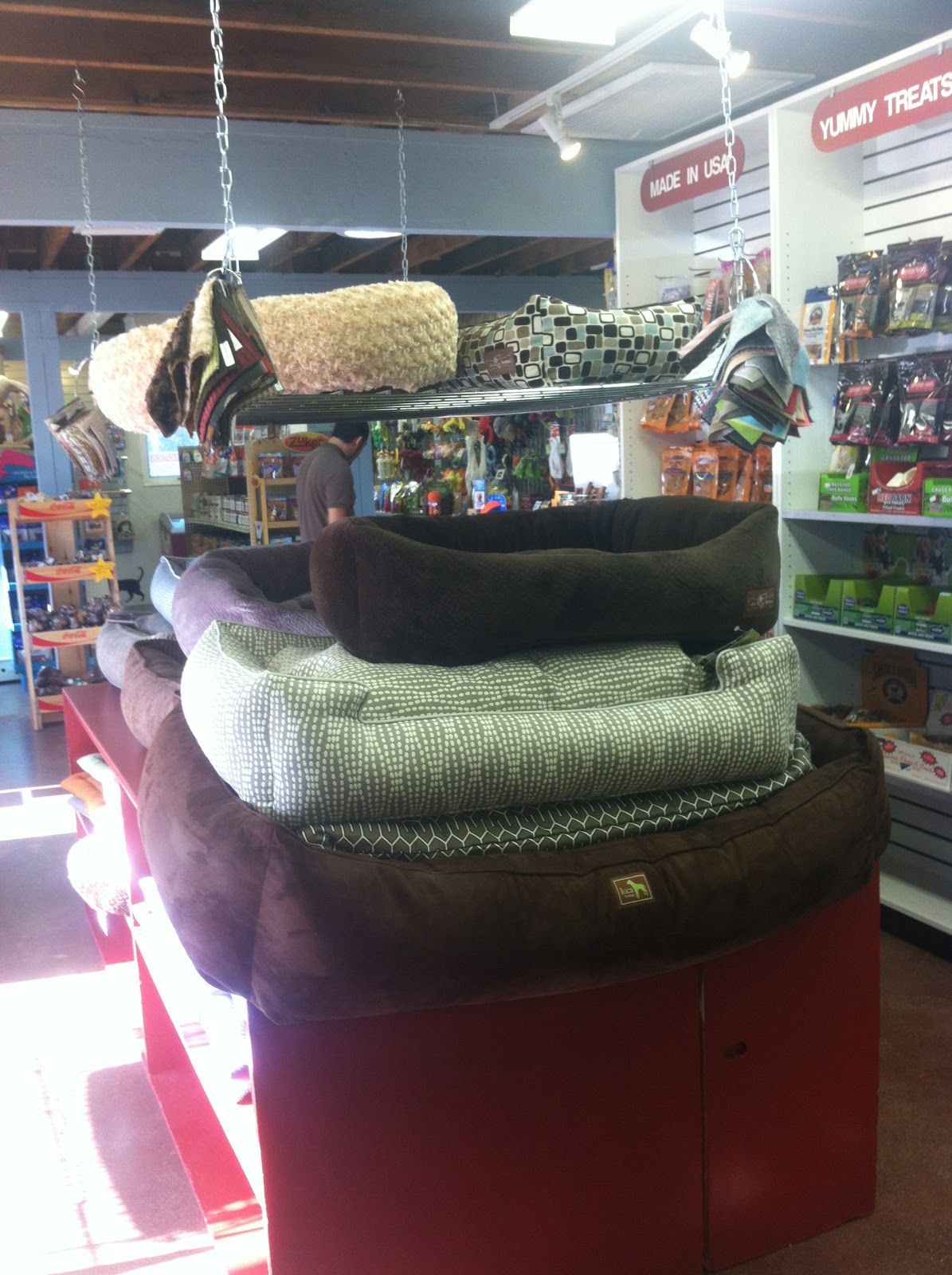 Village Pet Supply Bridgnorth / Rumer Willis at Healthy Spot pet supply