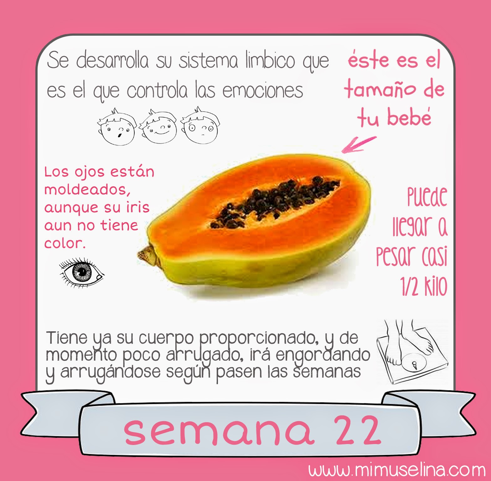 Tamano feto 21 semanas Tamano feto 21 semanas